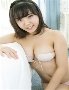 《朱程浴血冀鲁豫》